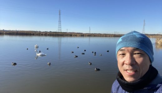 あけましておめでとうございます⛩
