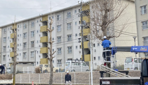 ［剪定お疲れ様です😃］