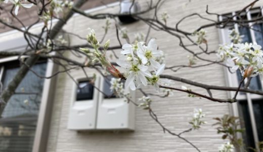 ［ジューンベリー😃］