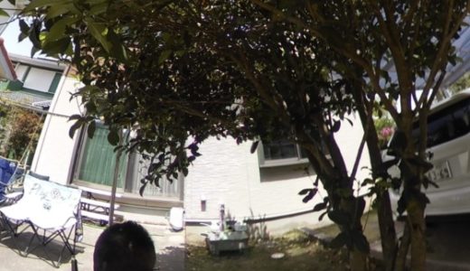 ［穏やかなGW😊］