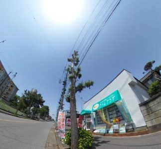 ［歩道はいつもキレイ❣️］