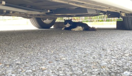 ［そこ暑くないの🥵］