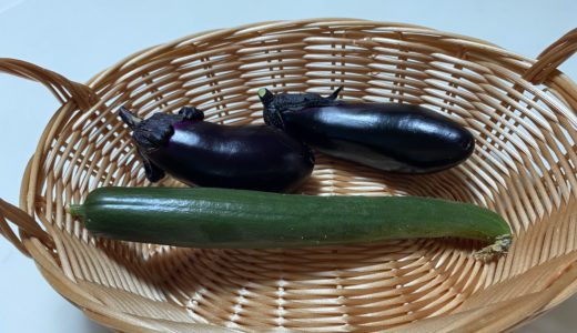 ［我が家の夏野菜　初収穫😁］