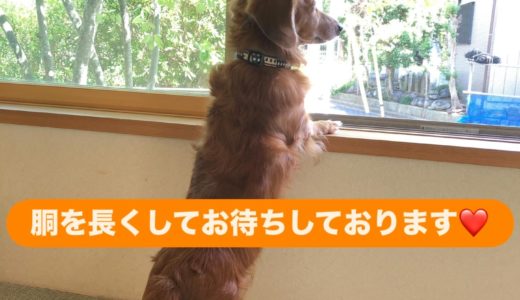 ［今週末は2ヶ所でオープンハウス開催❣️］