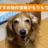 ［今週のチラシ情報😃］